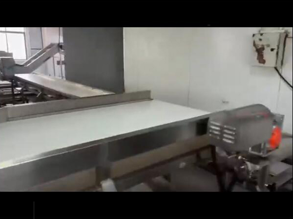 雞鴨副產品（魚類、海產等）解凍清洗蒸煮流水線